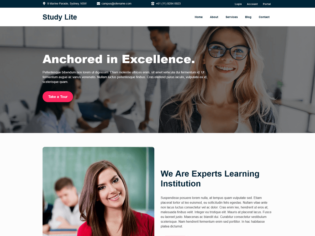 FSE Study Lite theme screenshot