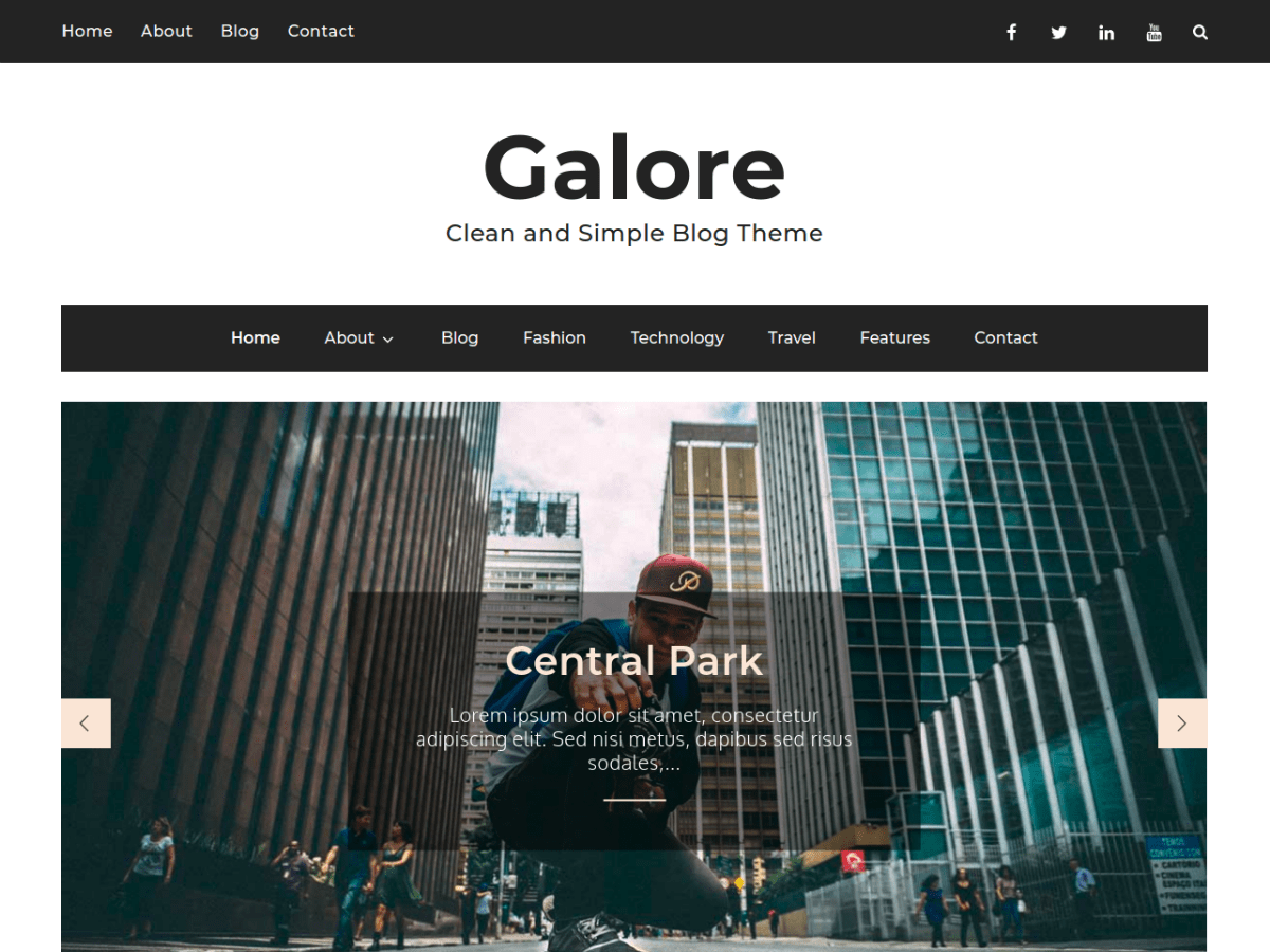 Galore theme screenshot