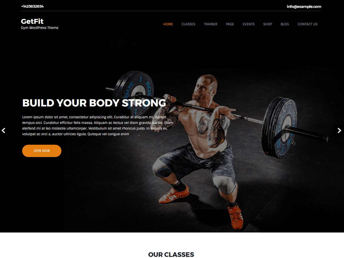 Getfit Lite theme screenshot