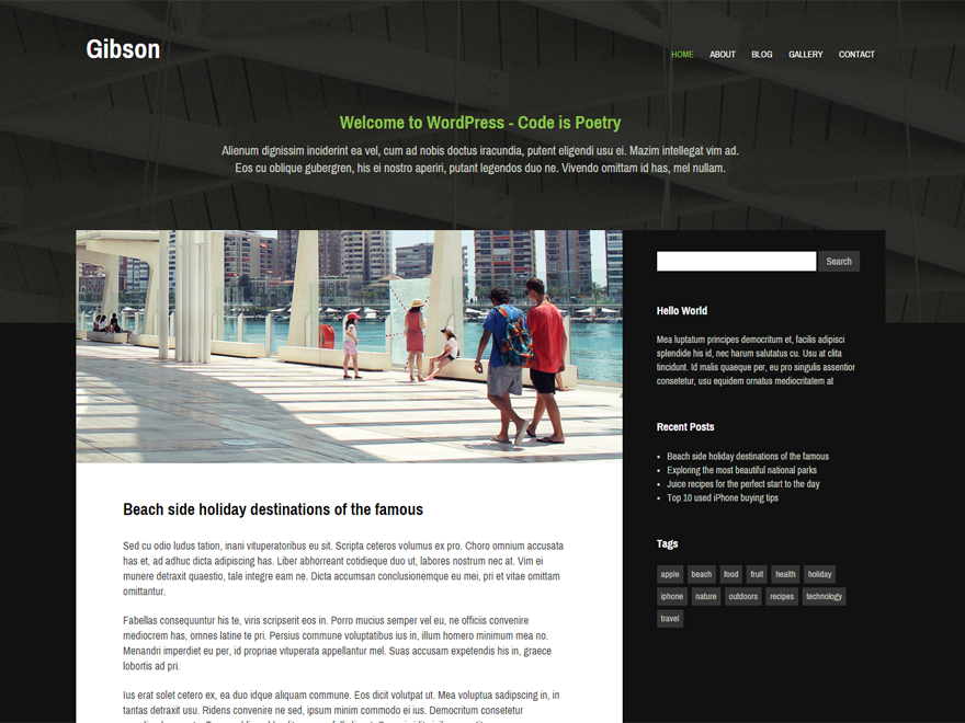 Gibson theme screenshot