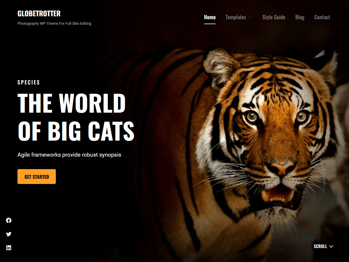 Globetrotter theme screenshot