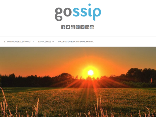 Gossip theme screenshot