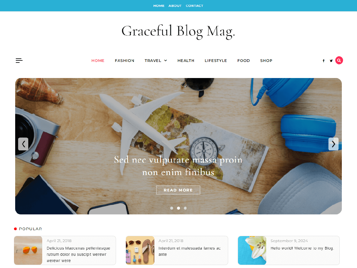 Graceful Blog Mag theme screenshot