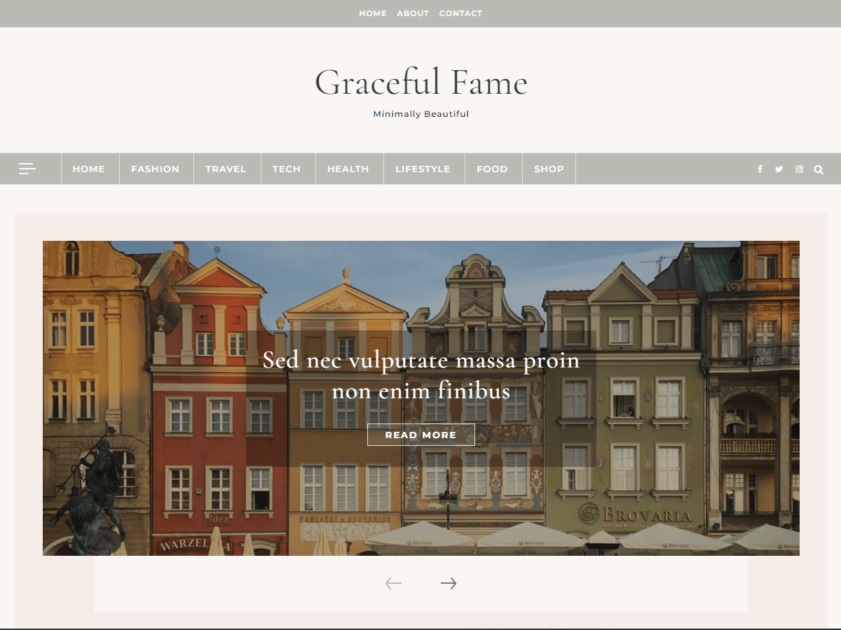 Graceful Fame Blog theme screenshot