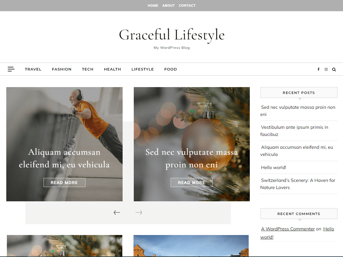 Graceful Lifestyle theme screenshot