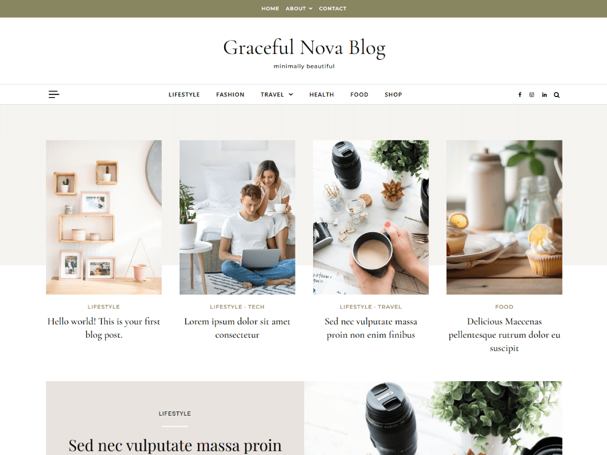 Graceful Nova Blog theme screenshot