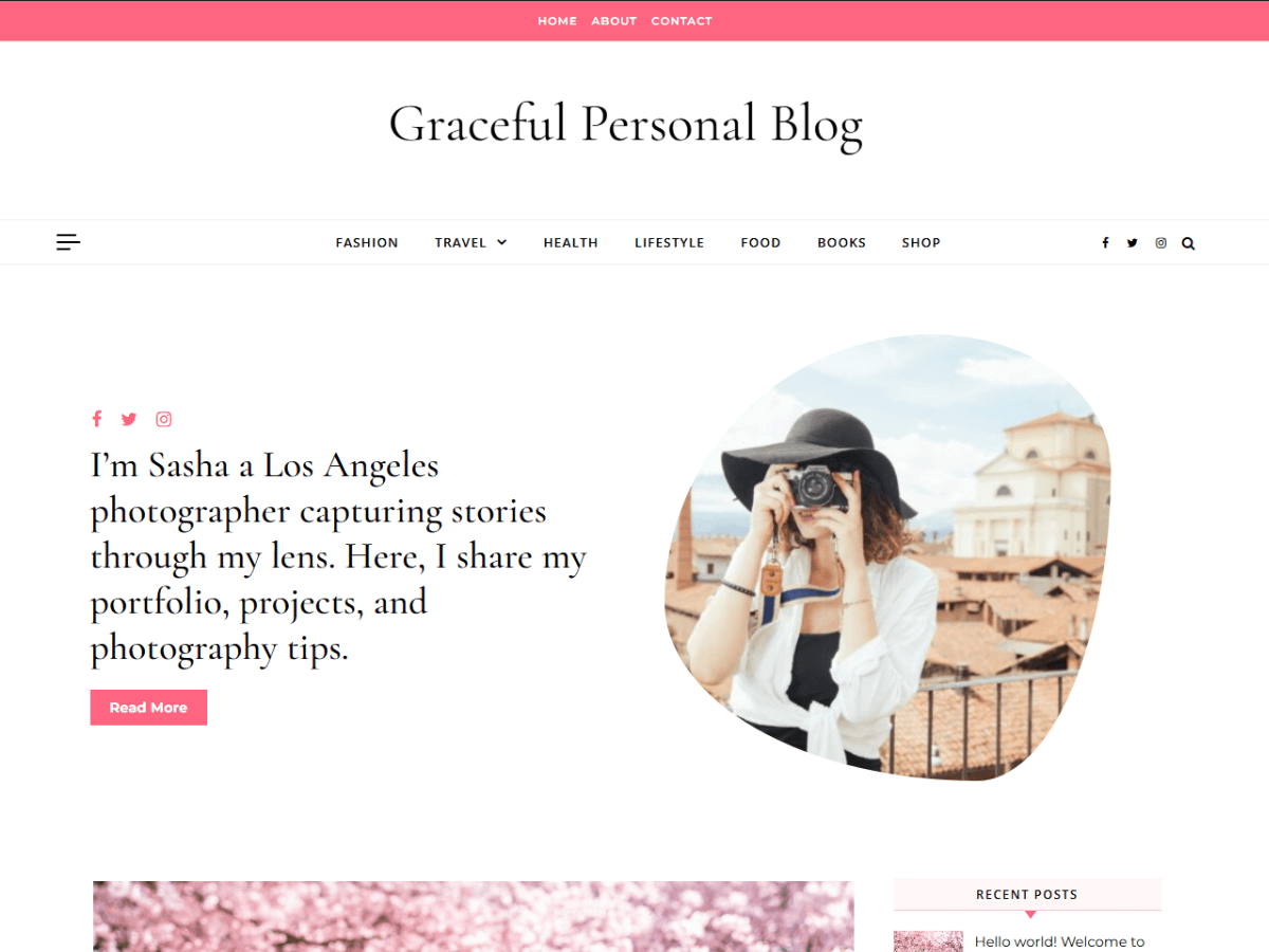 Graceful Personal Blog theme screenshot