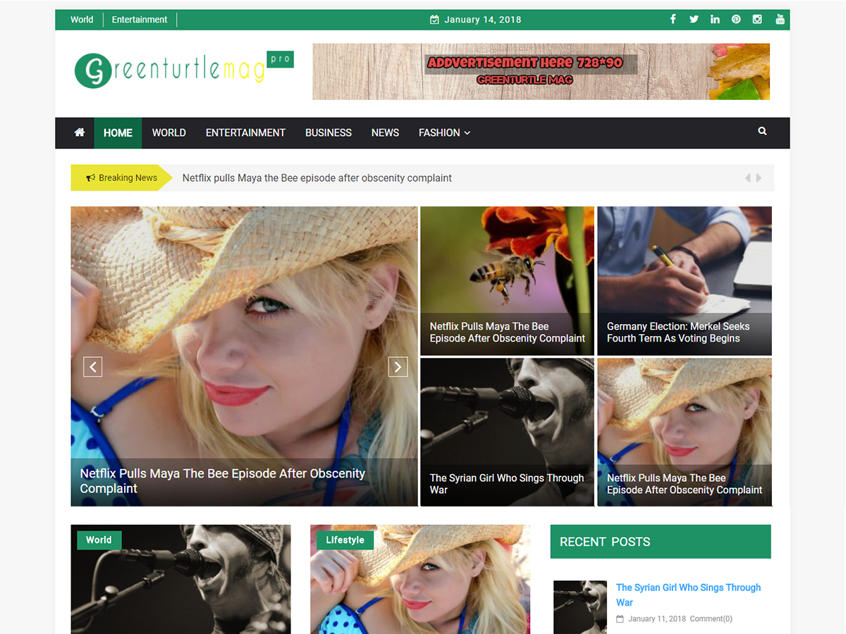 Greenturtle Mag theme screenshot