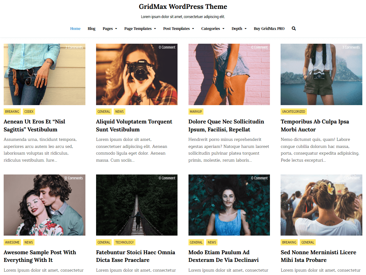 GridMax theme screenshot
