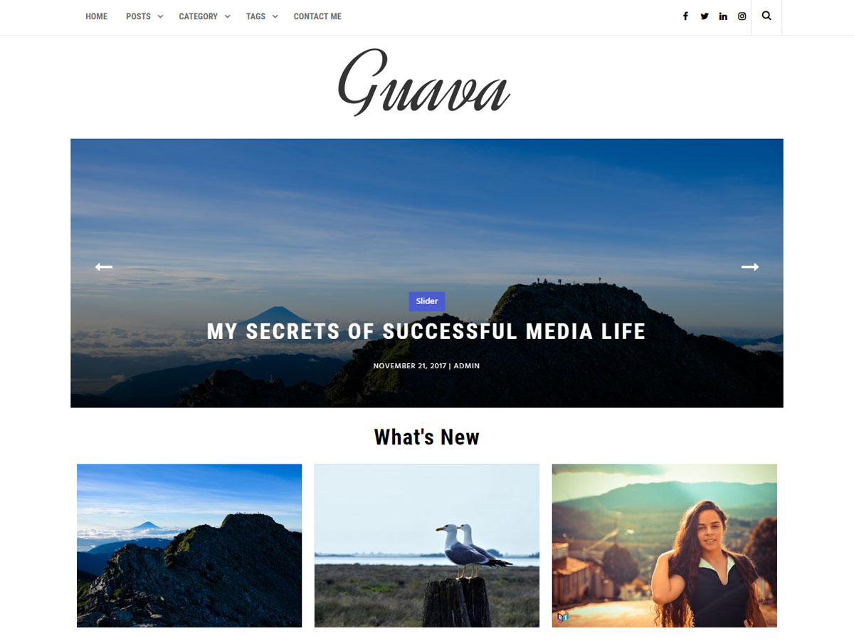 Guava theme screenshot