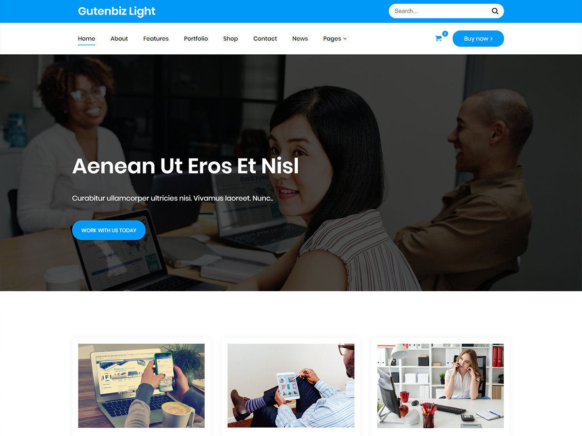Gutenbiz Light theme screenshot
