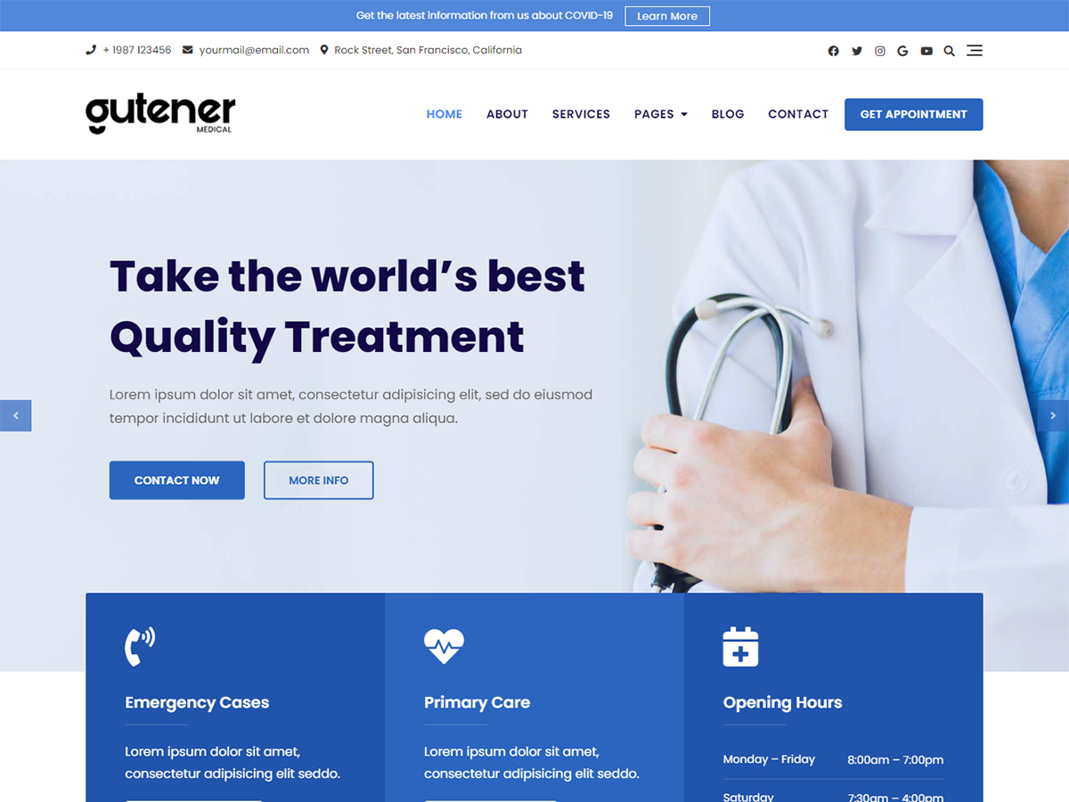 Gutener Medical theme screenshot