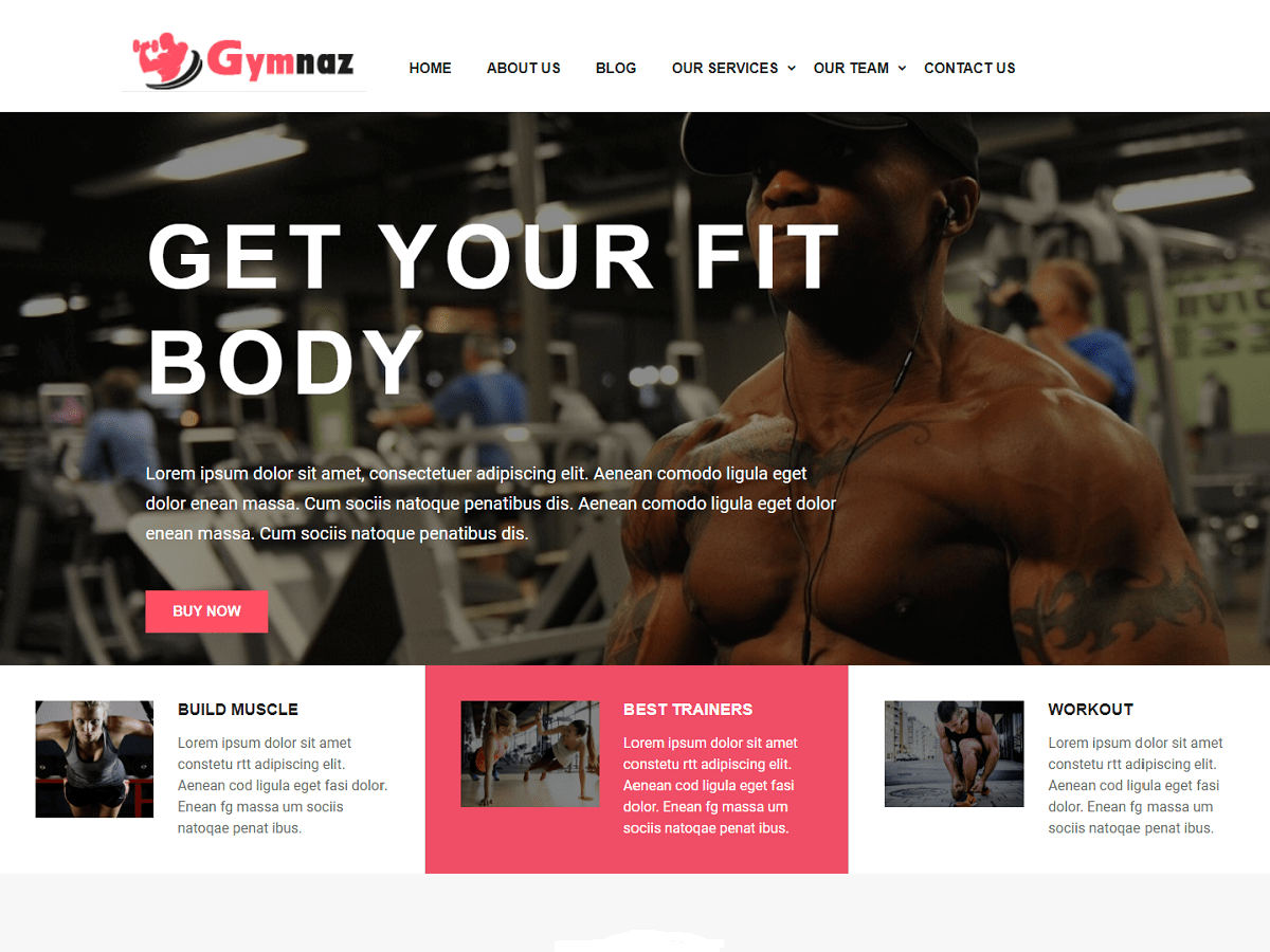 Gymnaz theme screenshot