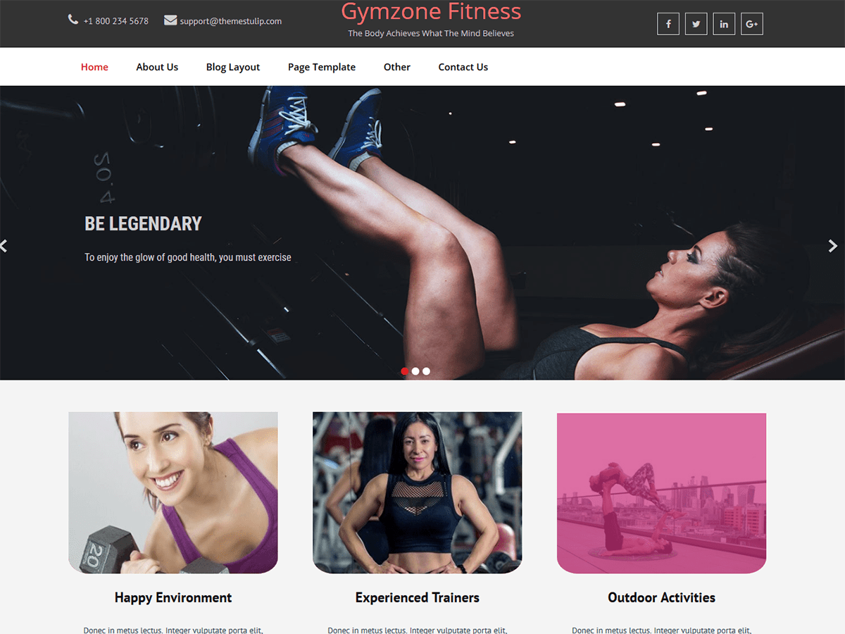 Gymzone Fitness theme screenshot