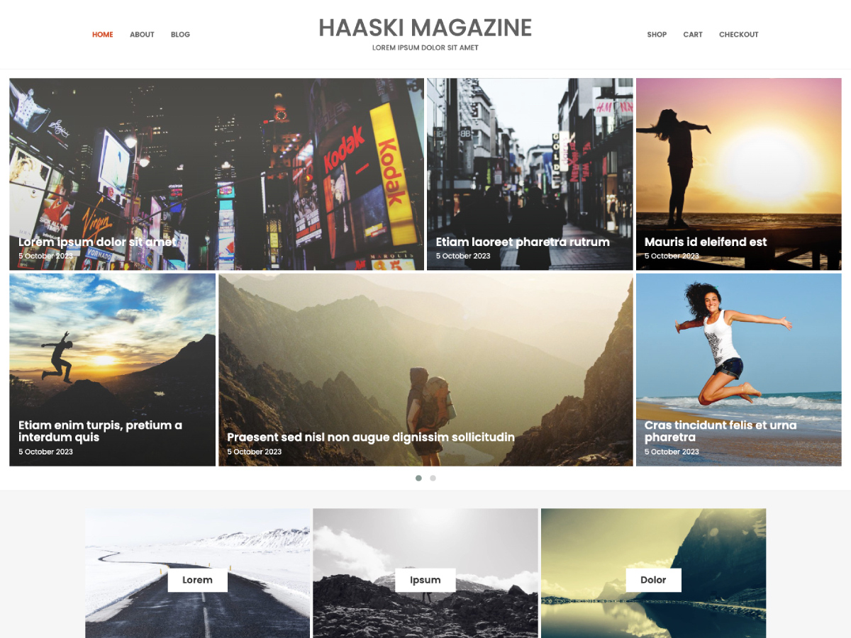Haaski Magazine theme screenshot