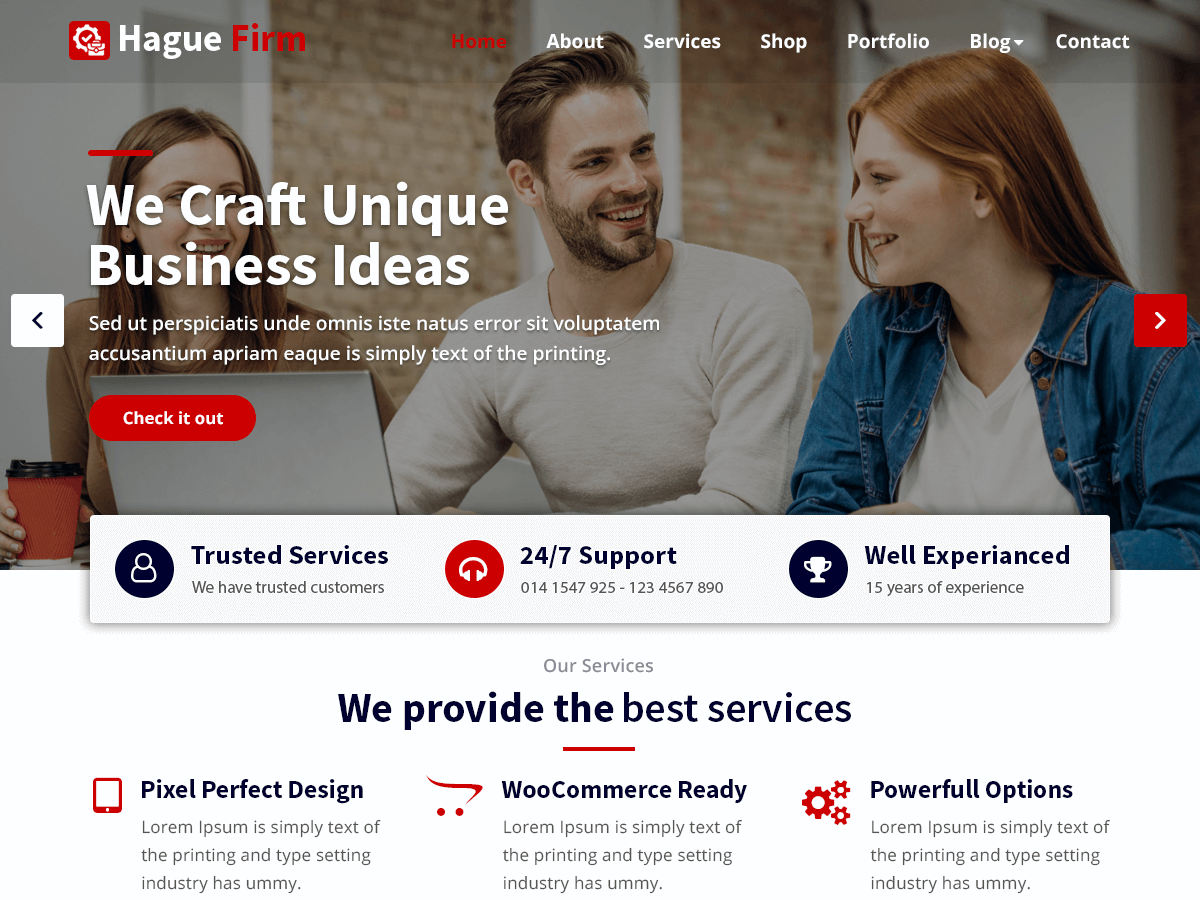 Hague Firm theme screenshot