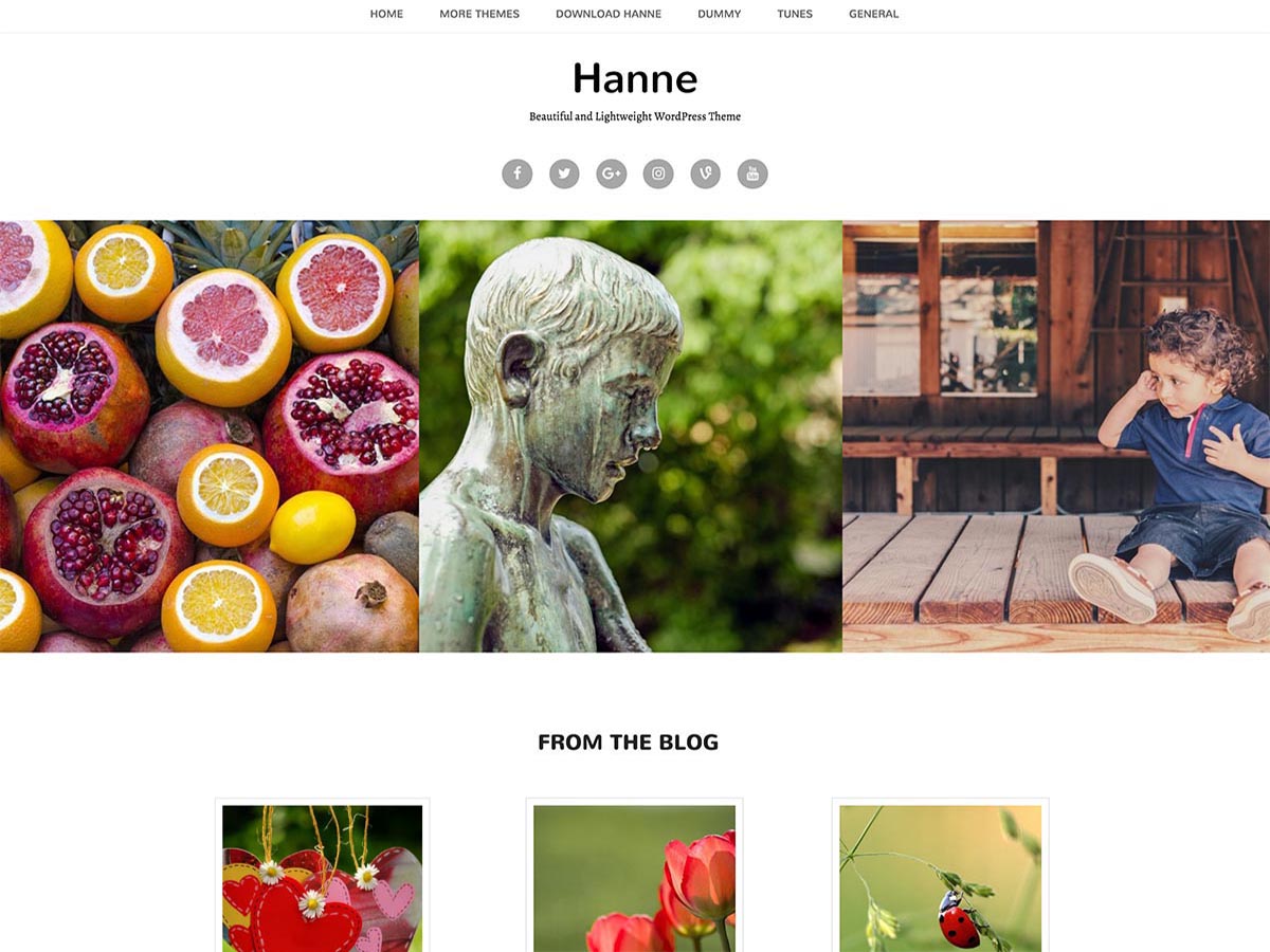 Hanne theme screenshot