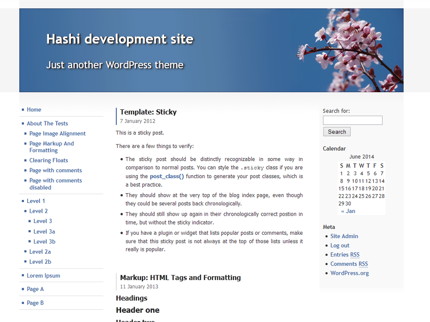 Hashi theme screenshot