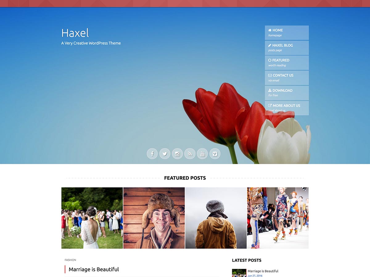 Haxel theme screenshot