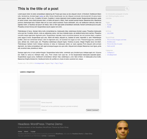 Headless theme screenshot