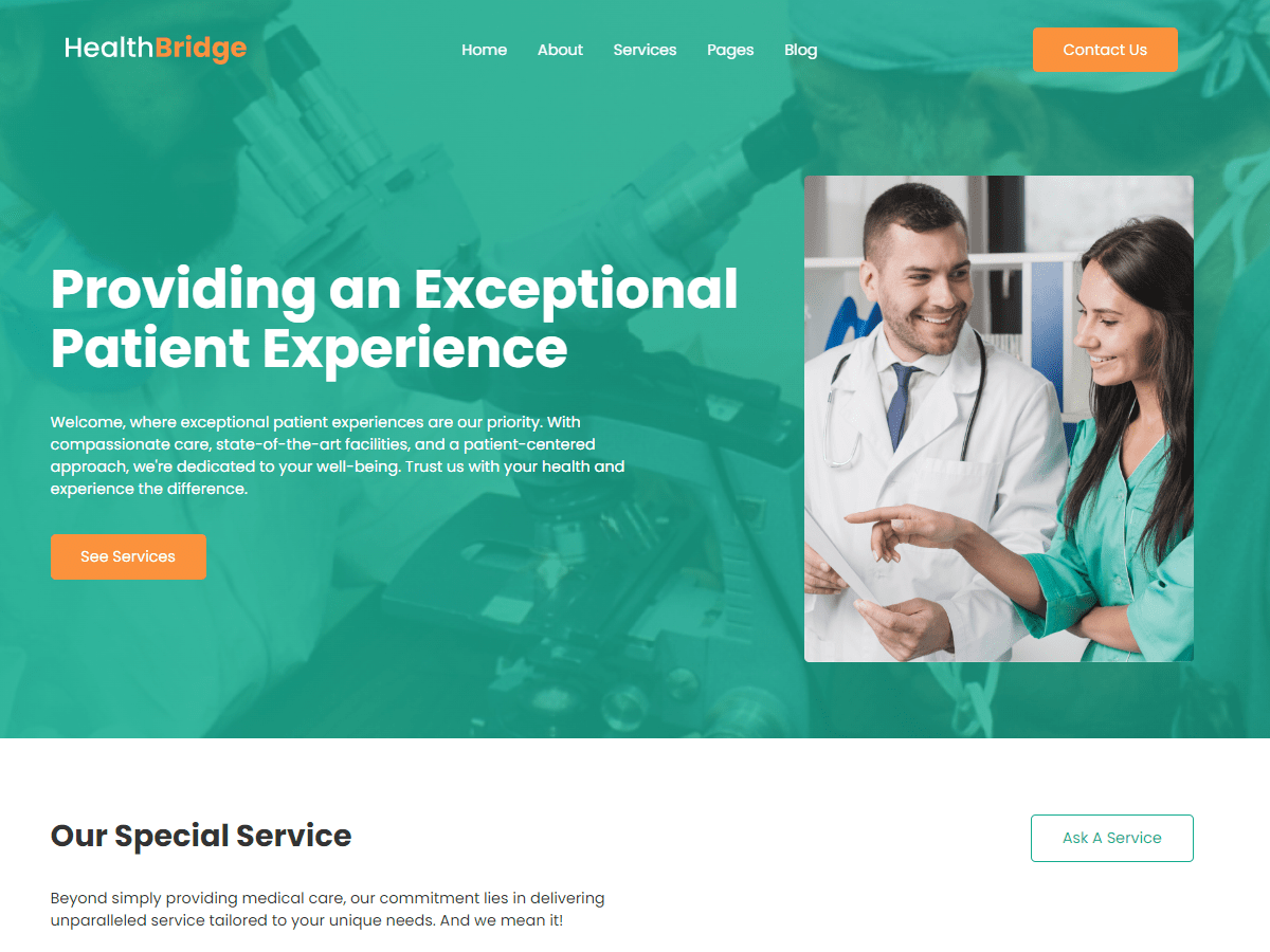 Health Bridge theme screenshot