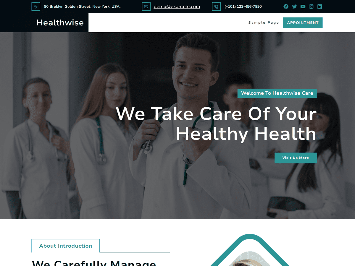 Healthwise theme screenshot