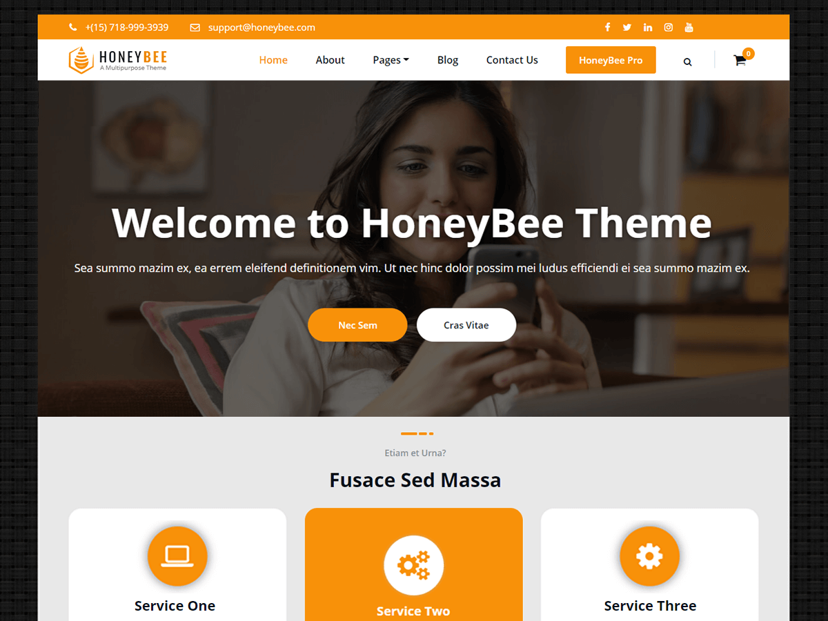 HoneyBee theme screenshot