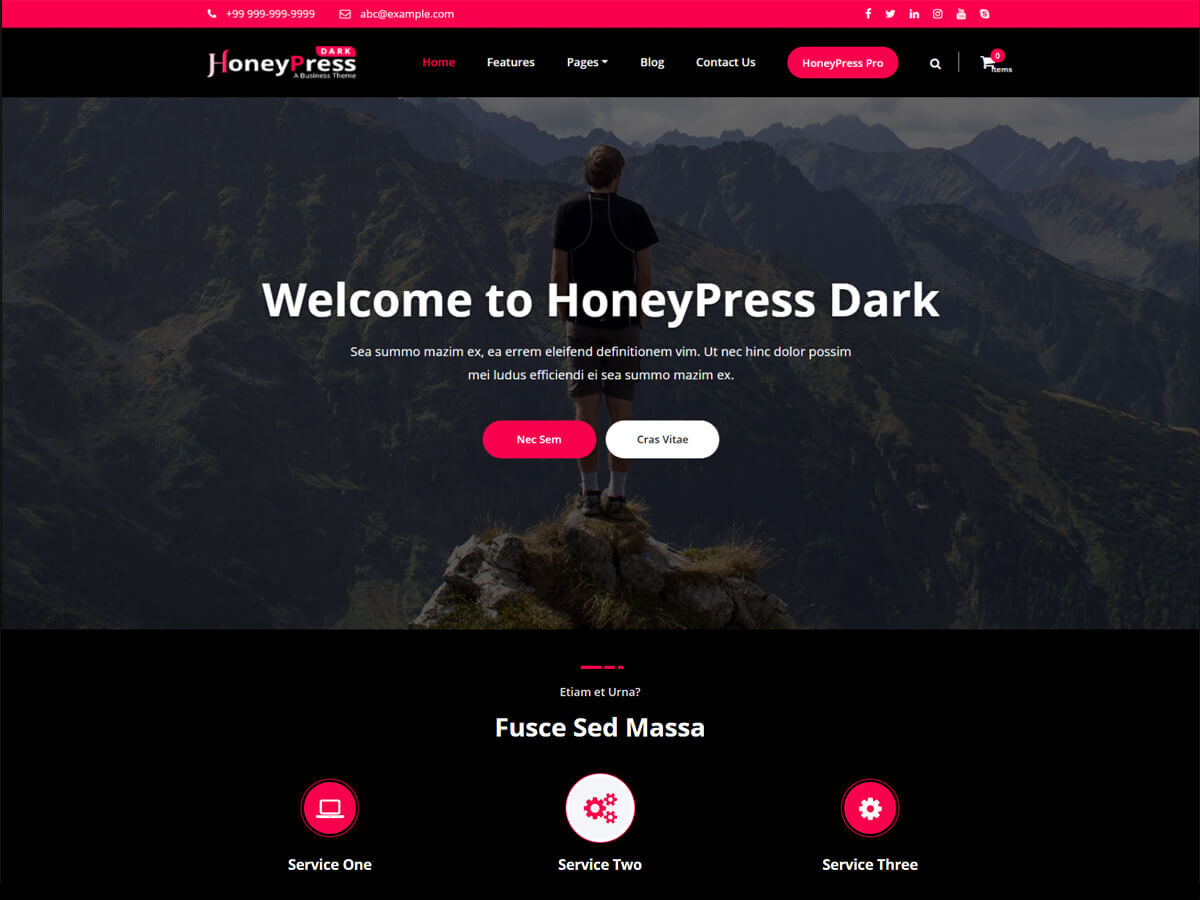 Honeypress Dark theme screenshot