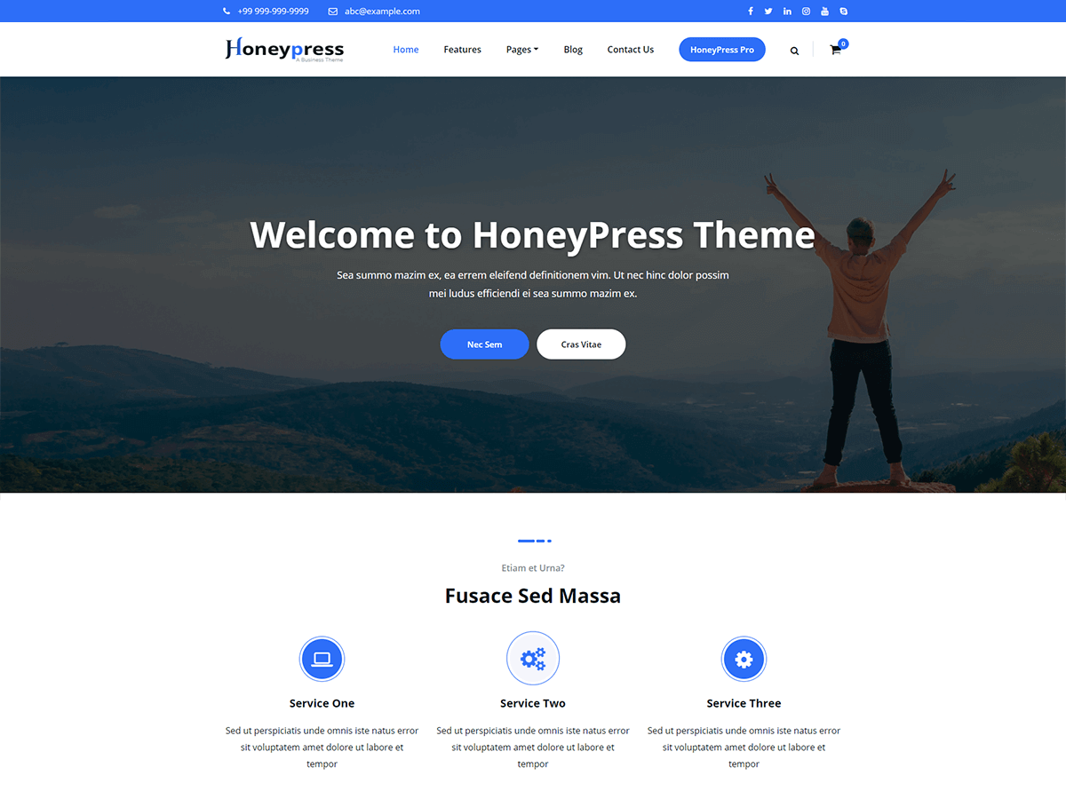 HoneyPress theme screenshot