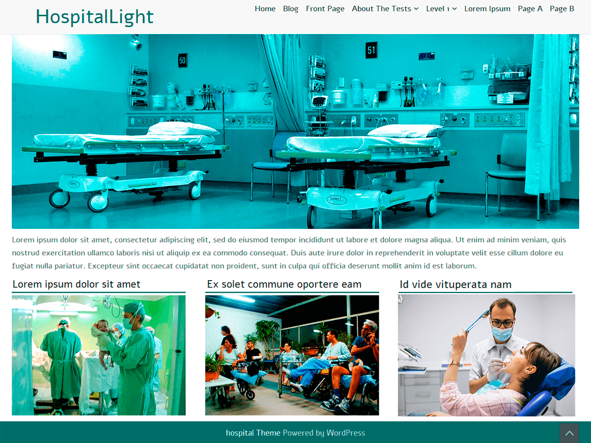 HospitalLight theme screenshot