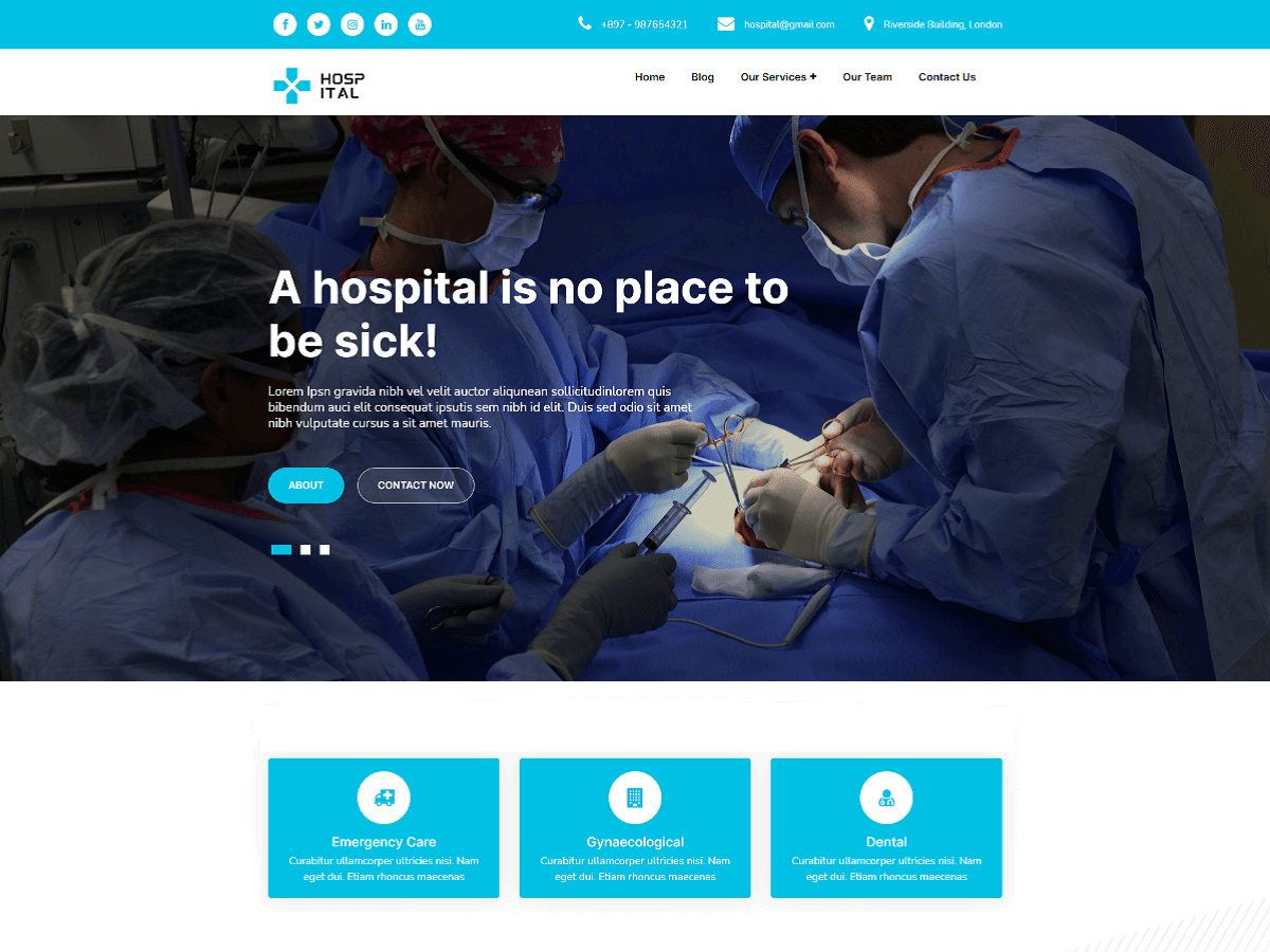 Hosptial Service theme screenshot