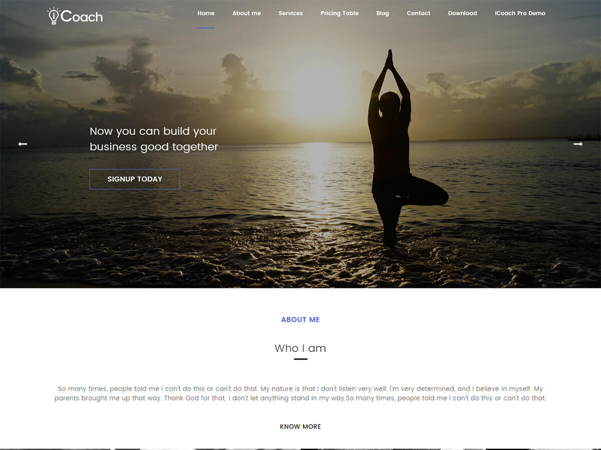 iCoach theme screenshot