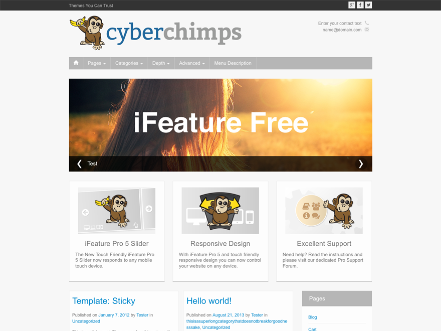 iFeature theme screenshot