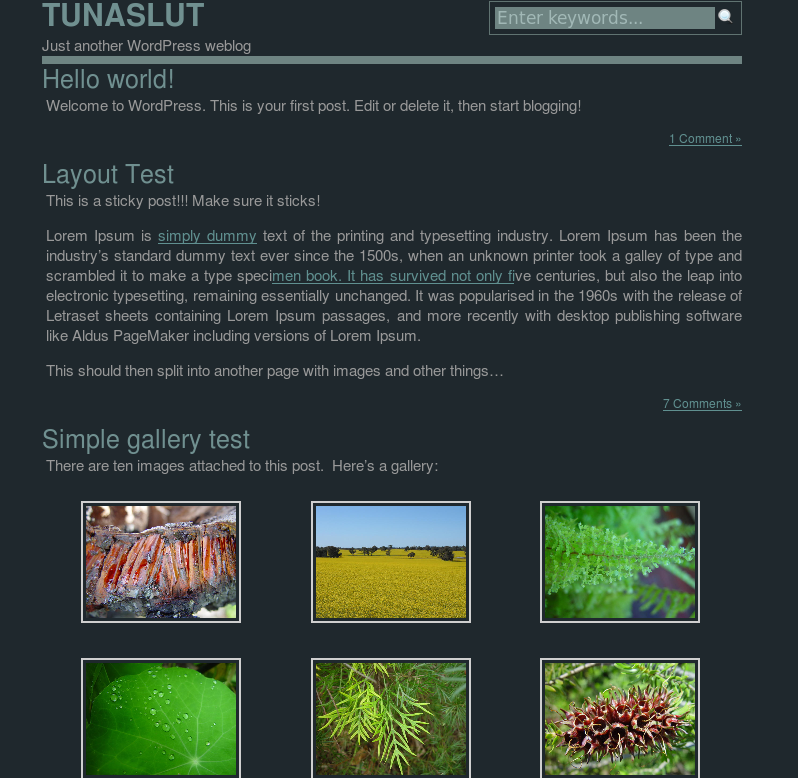 In Brine theme screenshot