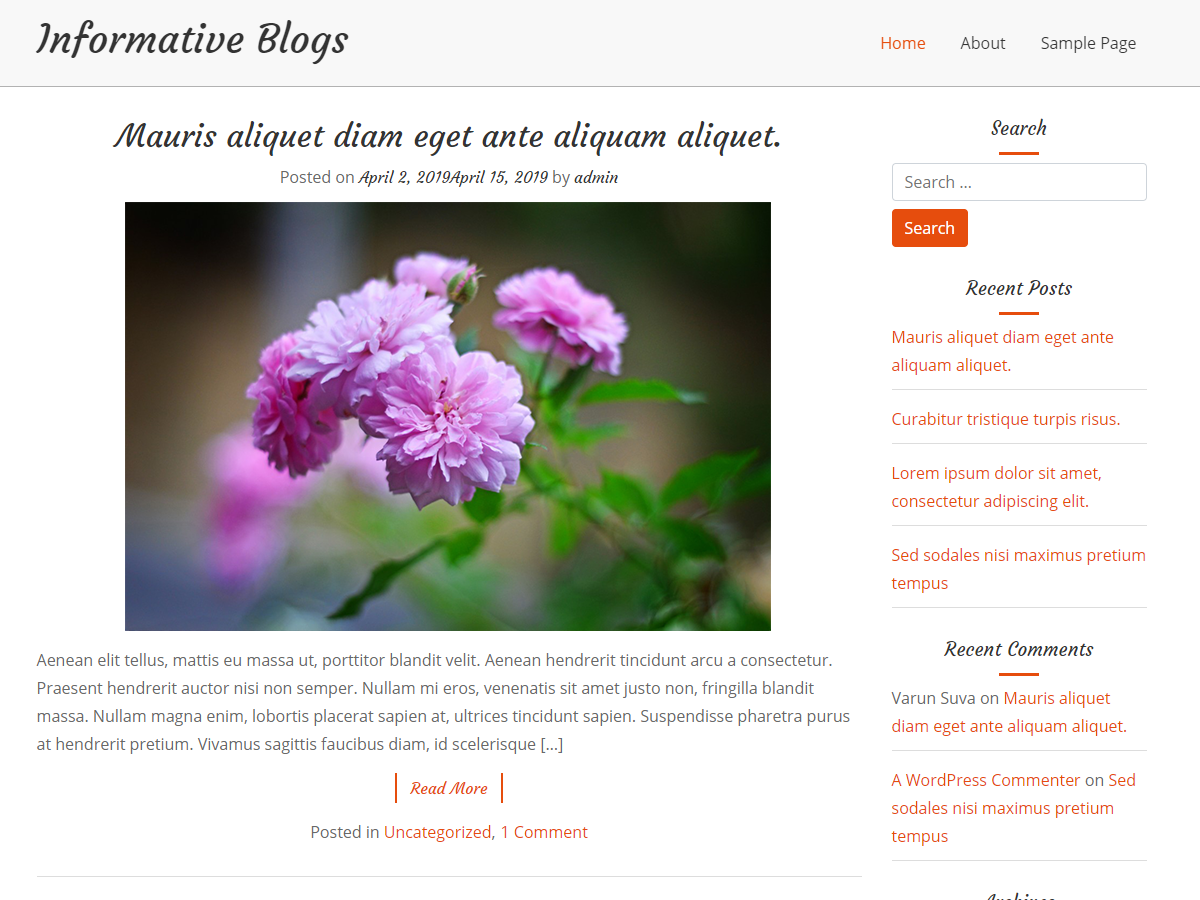 Informative Blogs theme screenshot