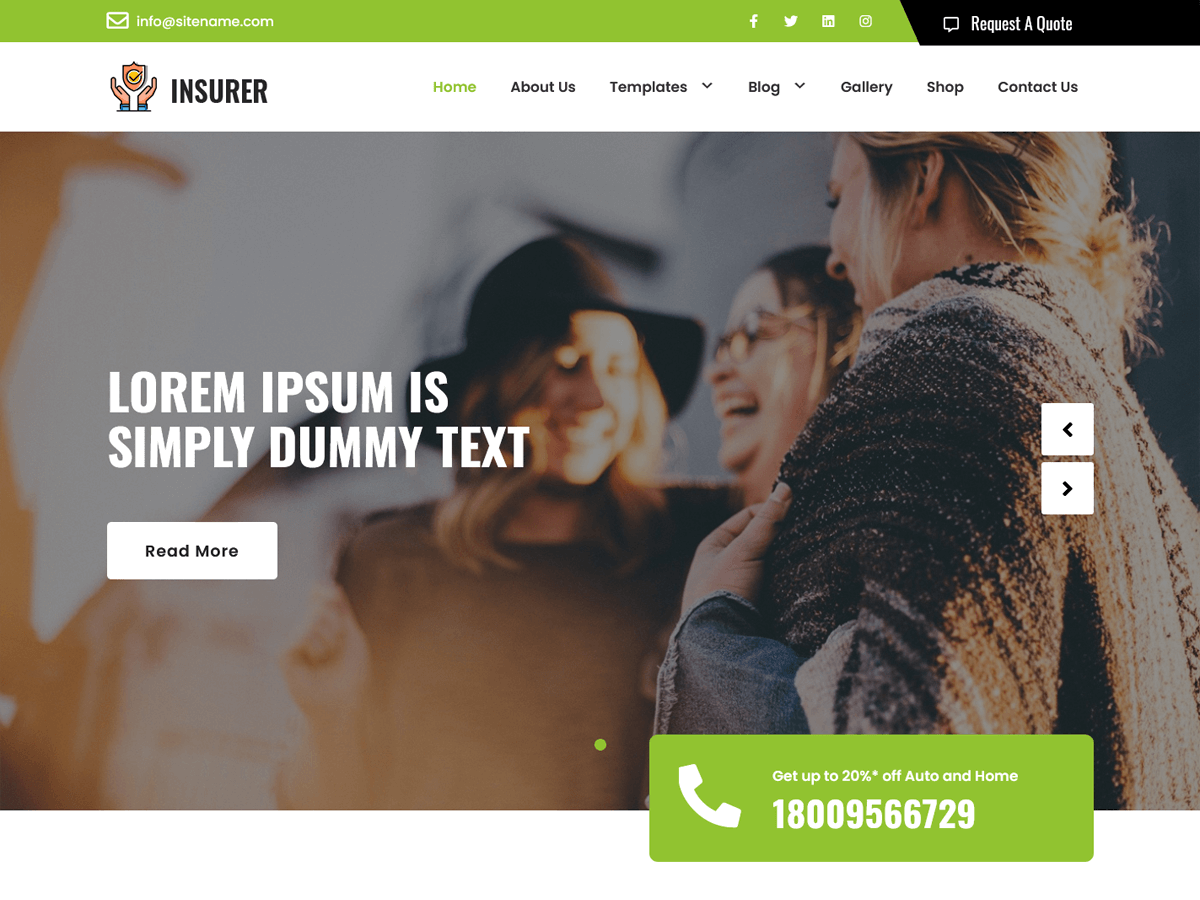 Insurer Lite theme screenshot