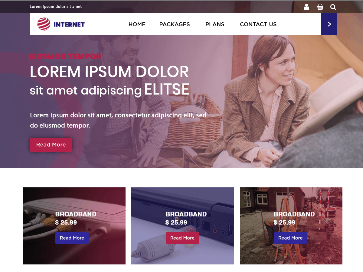 Internet Provider theme screenshot