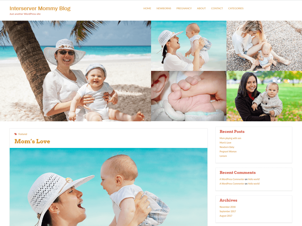 Interserver Mommy Blog theme screenshot