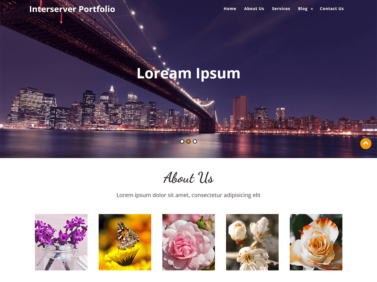 InterServer Portfolio theme screenshot