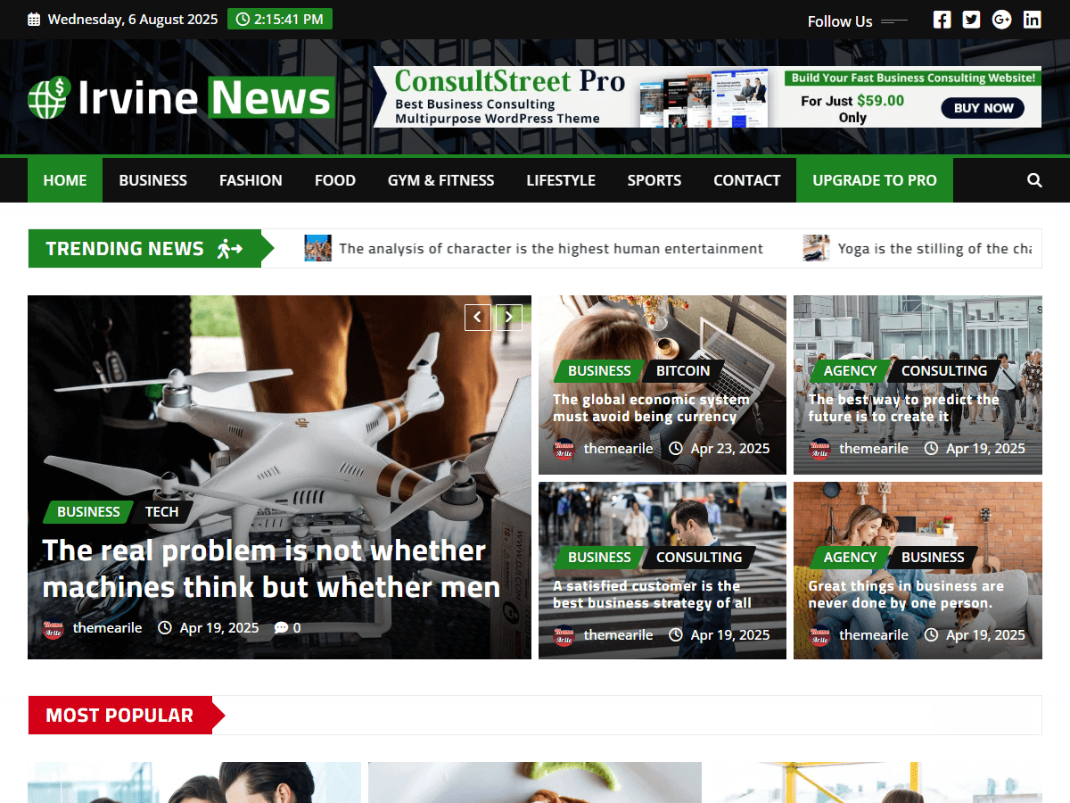 Irvine News theme screenshot