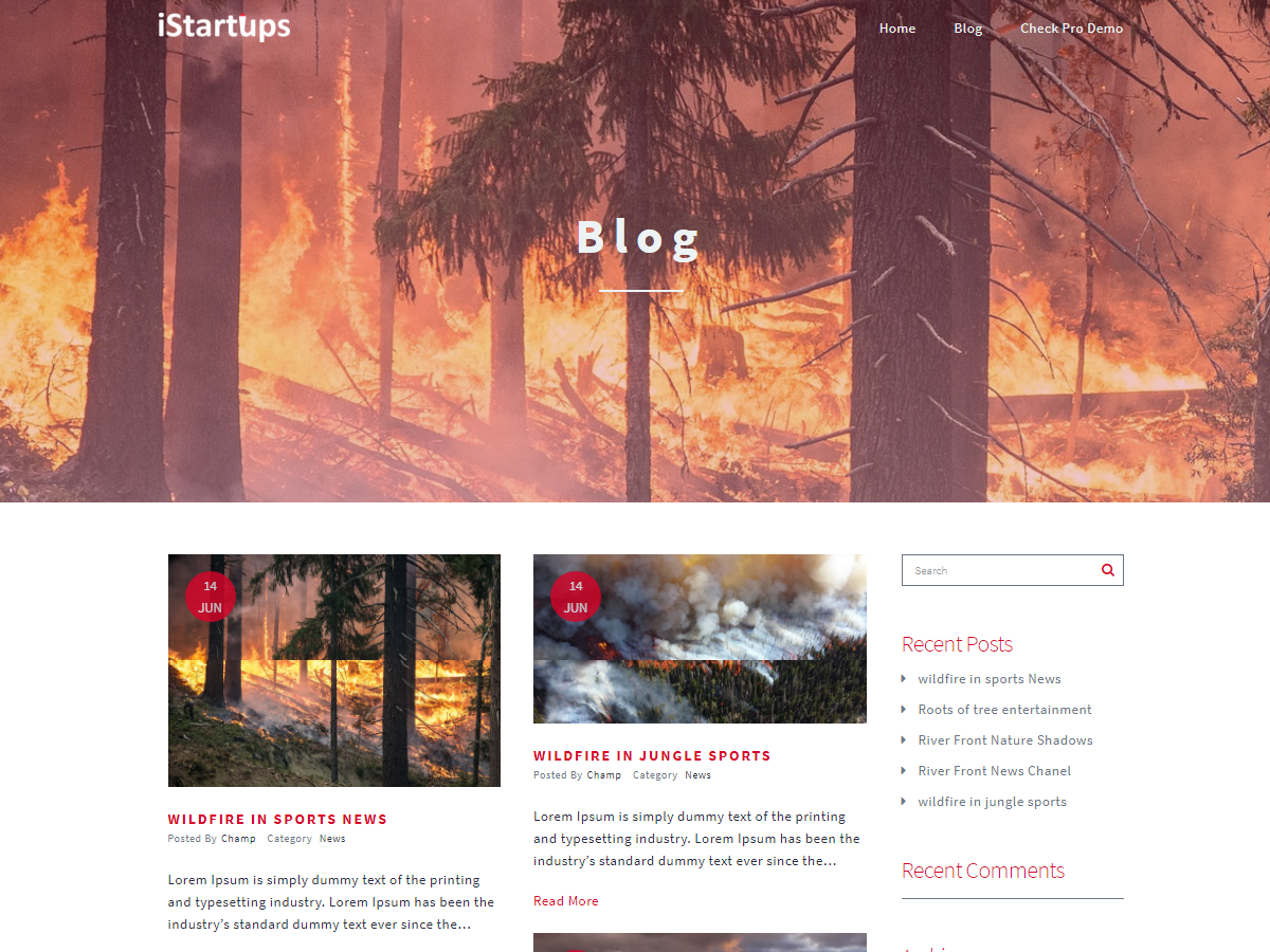 iStartups theme screenshot
