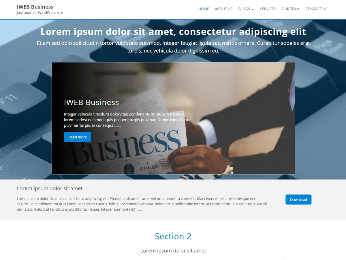 IWEB Business theme screenshot