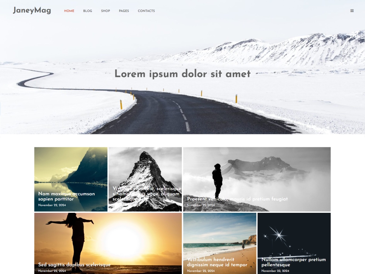 Janeymag theme screenshot