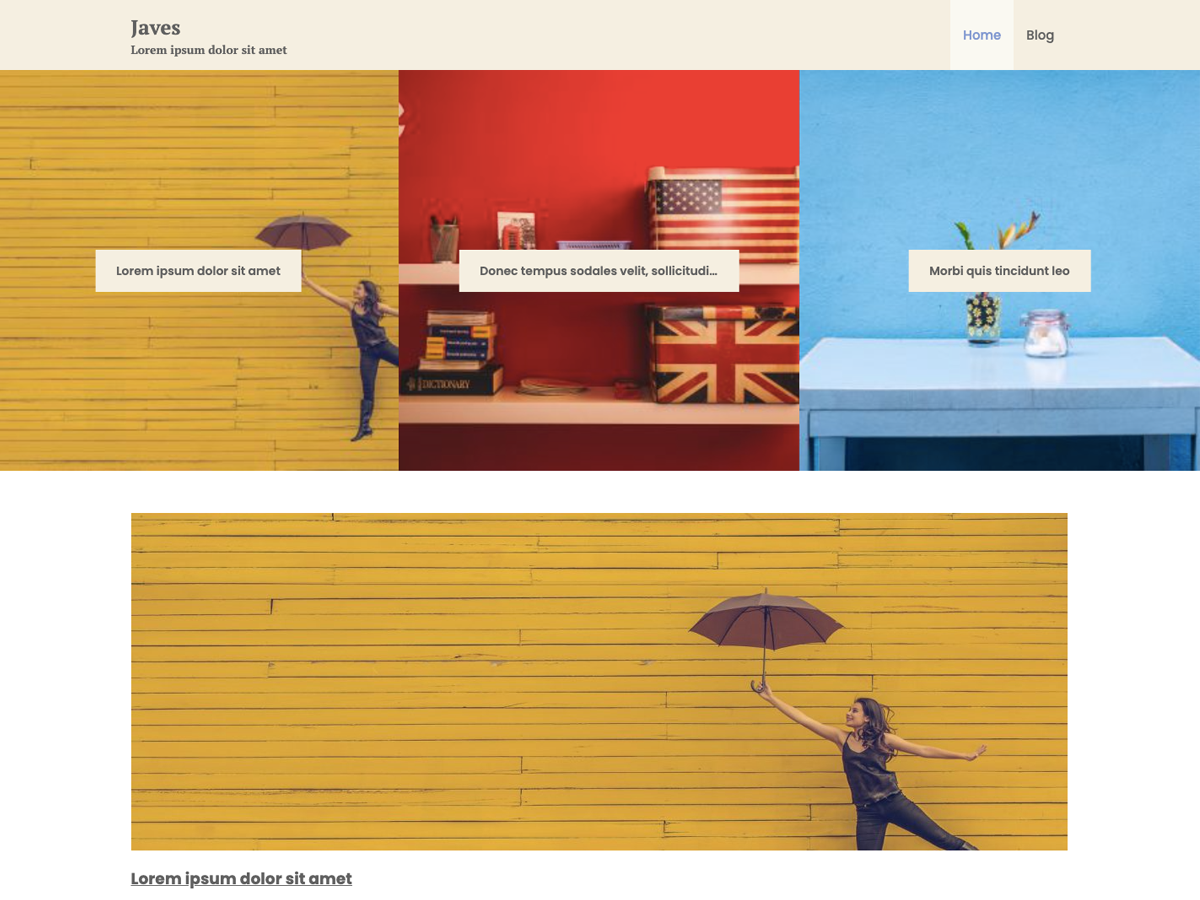 Javes theme screenshot