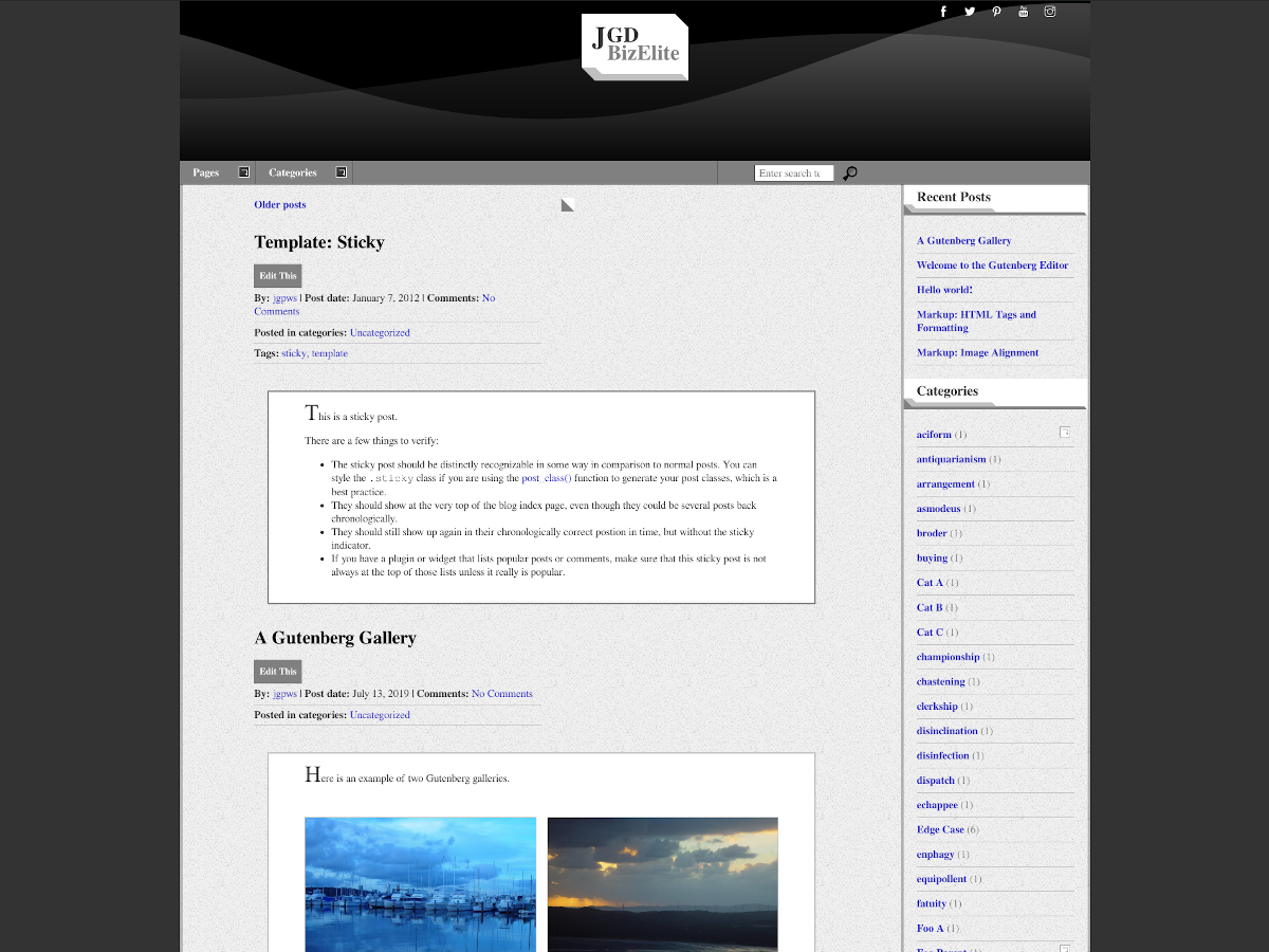 JGD-BizElite theme screenshot