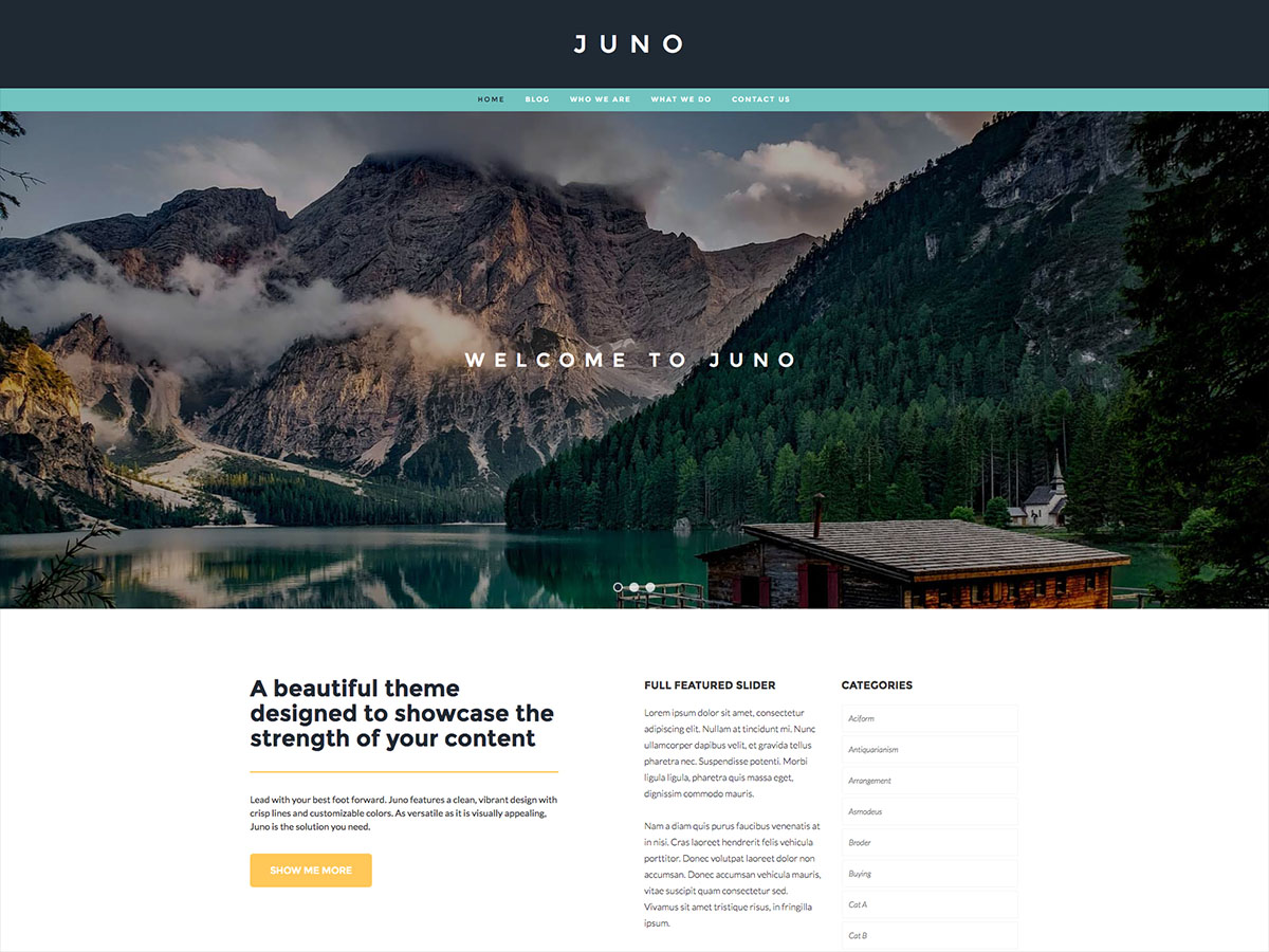 Juno theme screenshot