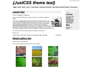 JustCSS theme screenshot