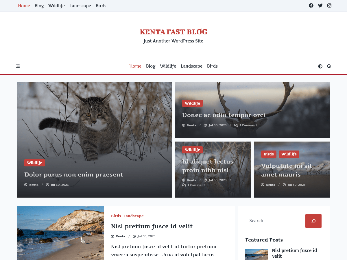 Kenta Fast Blog theme screenshot