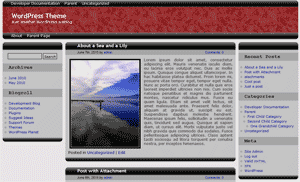 Kinyonga theme screenshot