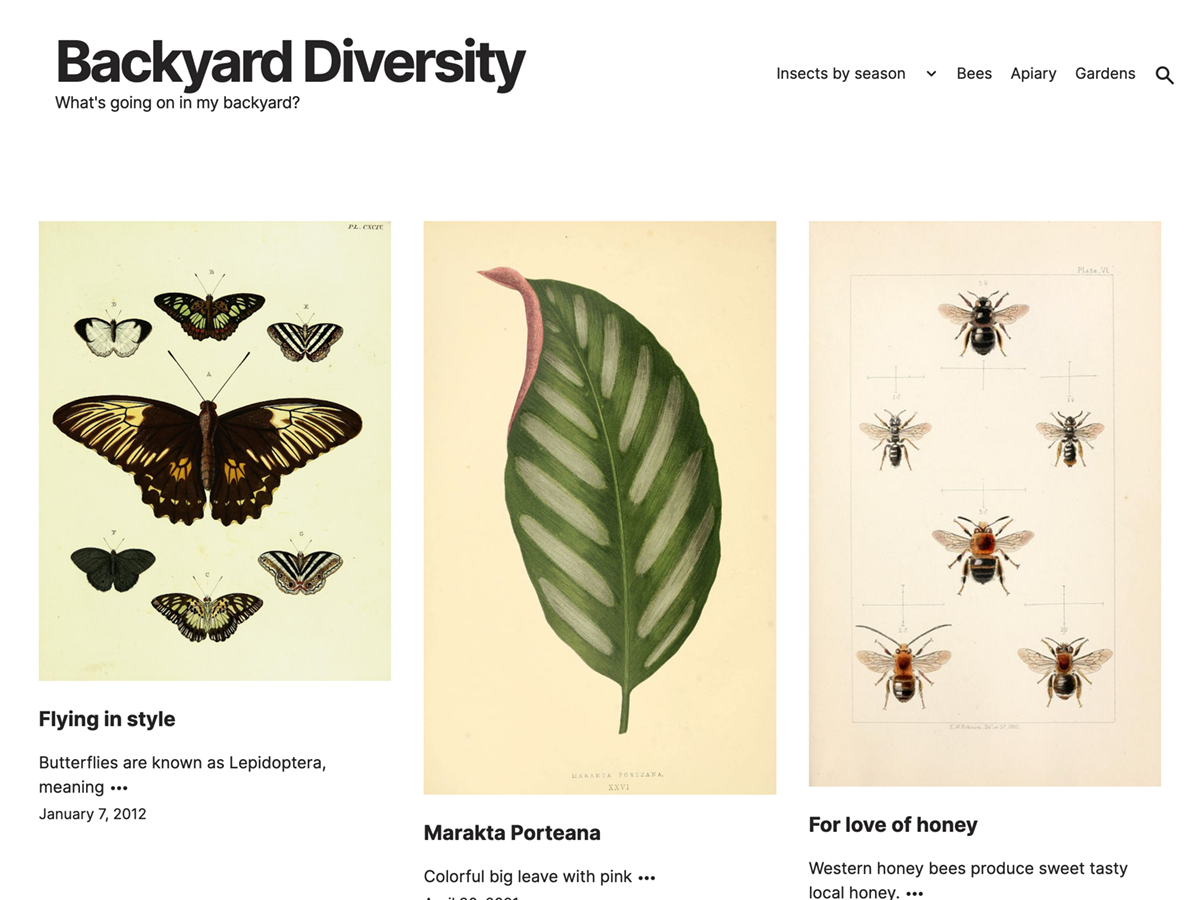 Kiyono theme screenshot